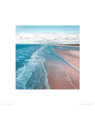 Wybrzeże - reprodukcja