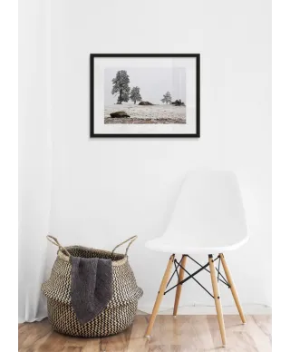 Zamarznięta Łąka - reprodukcja