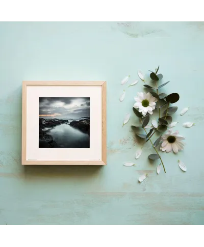 Zamglona zatoka - reprodukcja