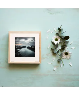 Zamglona zatoka - reprodukcja