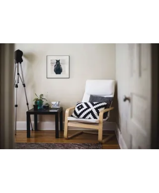 Zaśnieżony Koń - reprodukcja