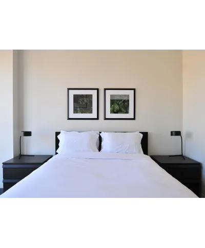 Zielone Liście - reprodukcja