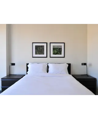 Zielone Liście - reprodukcja