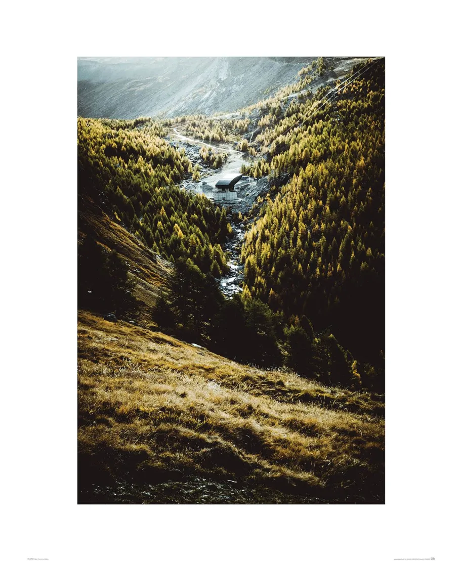 Zielone Wzgórza - reprodukcja