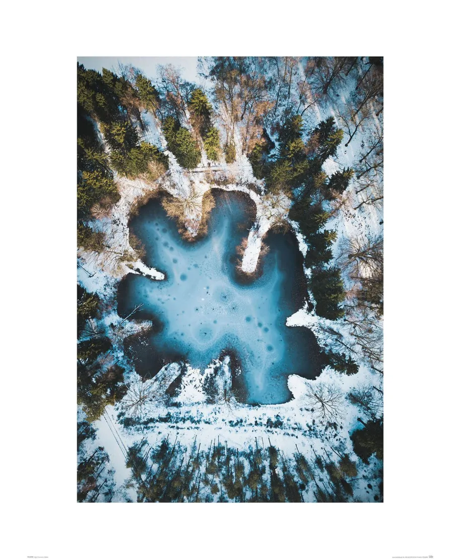 Zimowe jezioro - reprodukcja