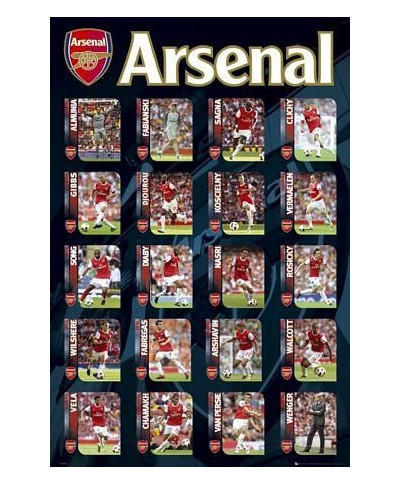 Arsenal Squad Profiles  - plakat
