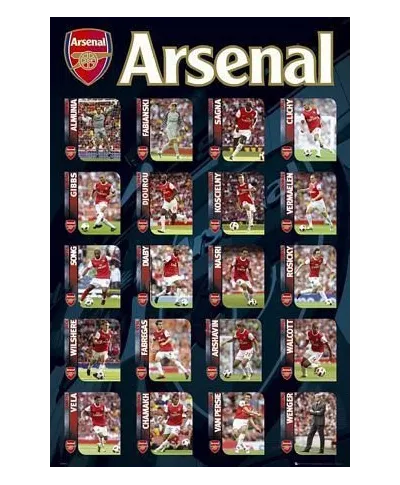 Arsenal Squad Profiles  - plakat