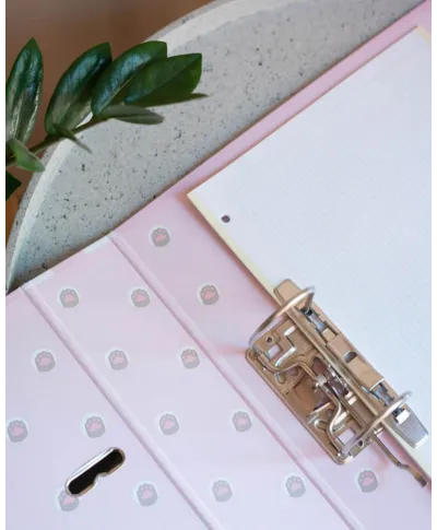 Pusheen All Of It - segregator A4 z dźwignią