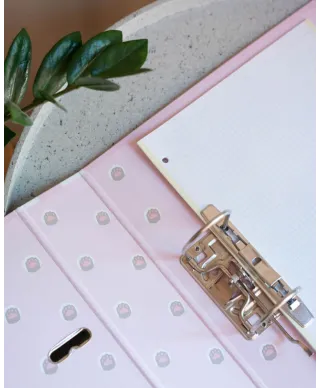 Pusheen All Of It - segregator A4 z dźwignią