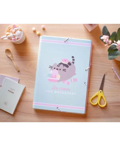 Pusheen Ice Cream - teczka A4