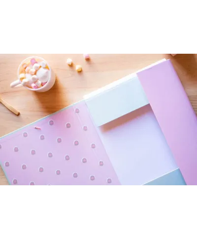 Pusheen Ice Cream - teczka A4