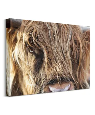 Górska Krowa - Obraz na płótnie