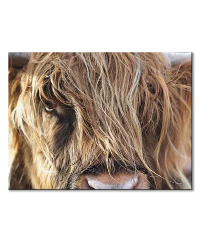 Górska Krowa - Obraz na płótnie