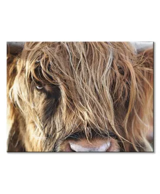 Górska Krowa - Obraz na płótnie