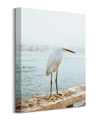 Czapla - Obraz na płótnie