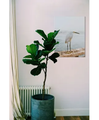 Czapla - Obraz na płótnie