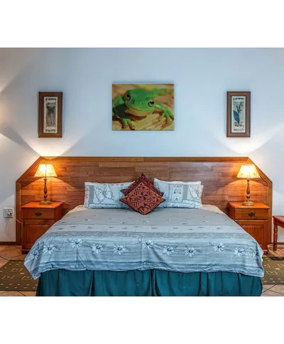 Zielona Żaba - Obraz na płótnie