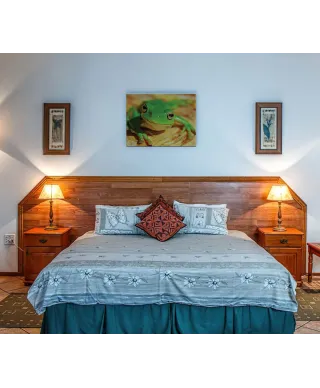 Zielona Żaba - Obraz na płótnie