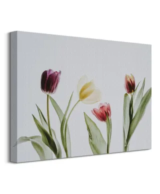 Tulipany - Obraz na płótnie