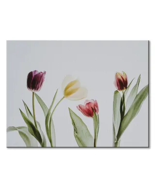 Tulipany - Obraz na płótnie