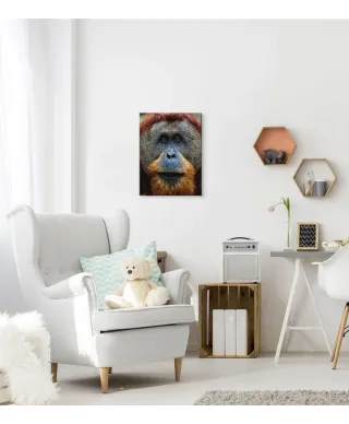 Orangutan - Obraz na płótnie
