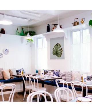 Liść monstery - obraz na płótnie