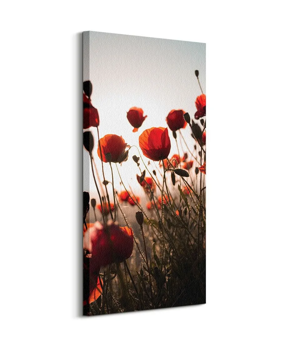 Czerwone maki - obraz na płótnie