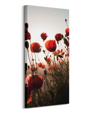 Czerwone maki - obraz na płótnie