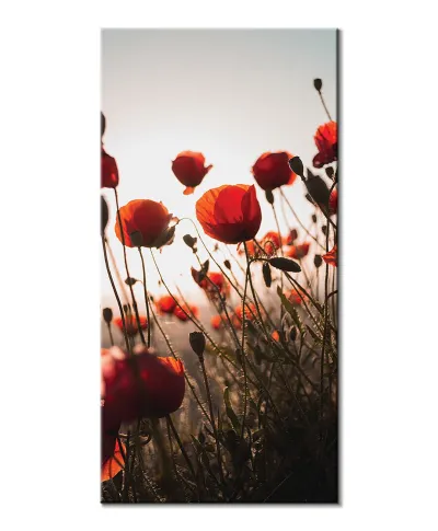 Czerwone maki - obraz na płótnie