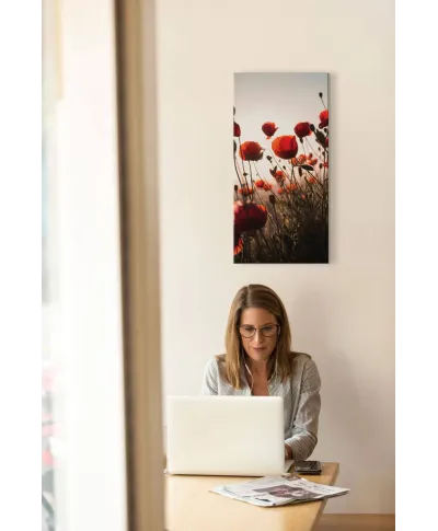 Czerwone maki - obraz na płótnie