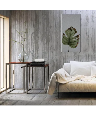 Liść monstery - obraz na płótnie