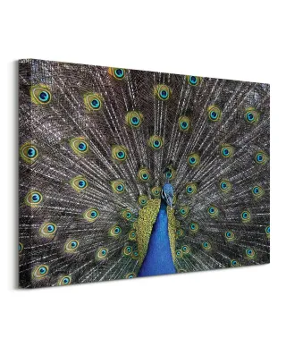 Paw - obraz na płótnie