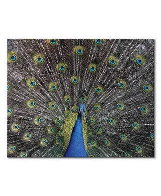 Paw - obraz na płótnie