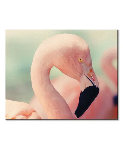 Flaming - obraz na płótnie