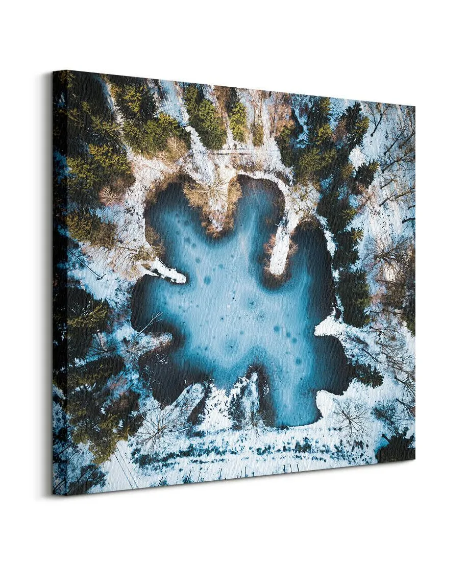Zimowe jezioro - obraz na płótnie