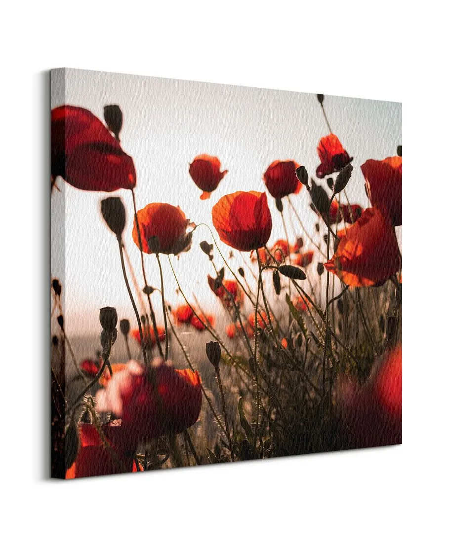 Czerwone maki - obraz na płótnie