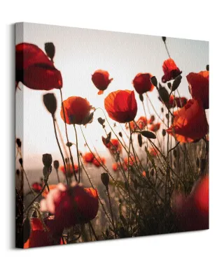 Czerwone maki - obraz na płótnie