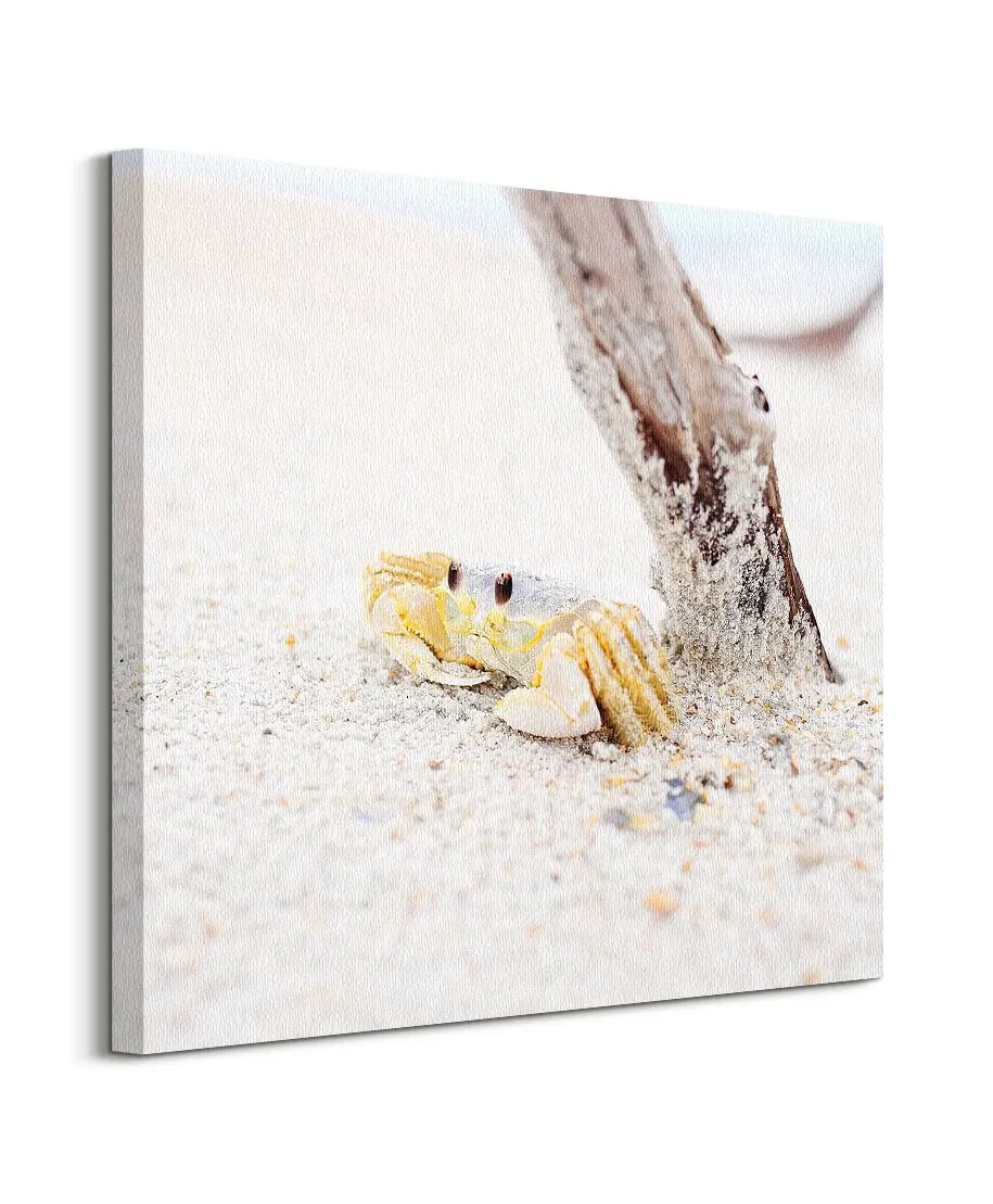 Mały krabik - obraz na płótnie