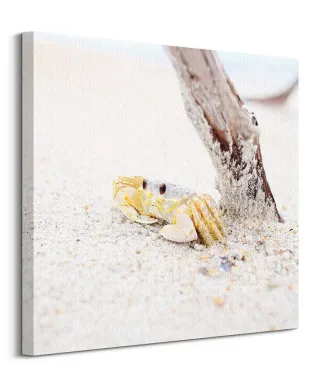 Mały krabik - obraz na płótnie