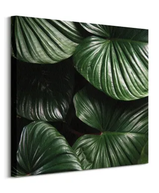 Zielone Liście - obraz na płótnie
