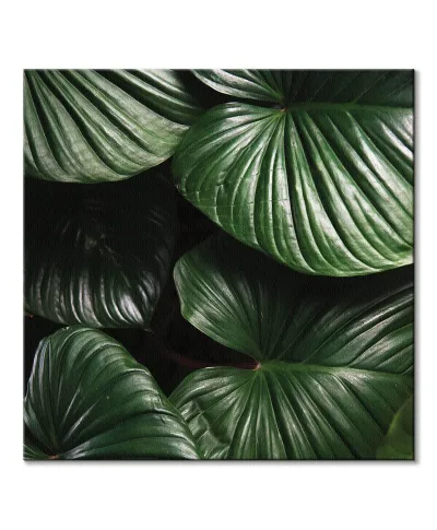 Zielone Liście - obraz na płótnie