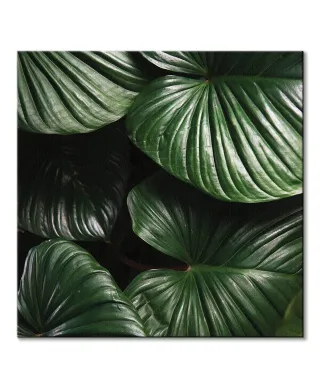 Zielone Liście - obraz na płótnie