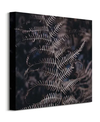 Liść Paproci - obraz na płótnie