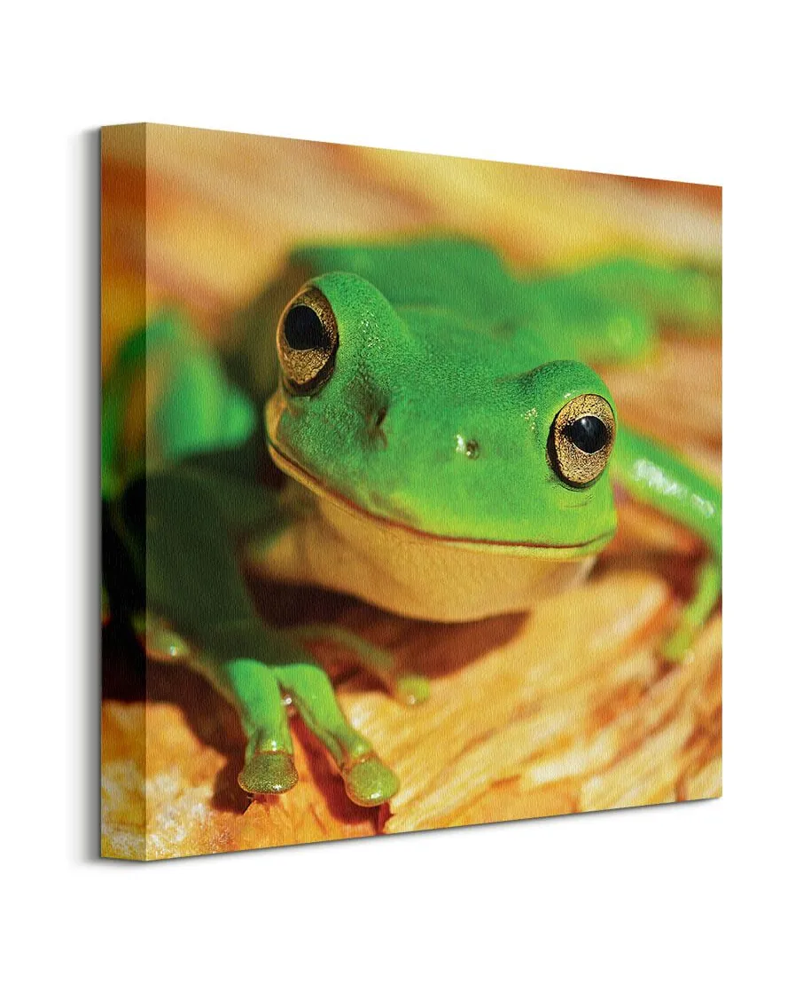 Zielona Żaba - obraz na płótnie