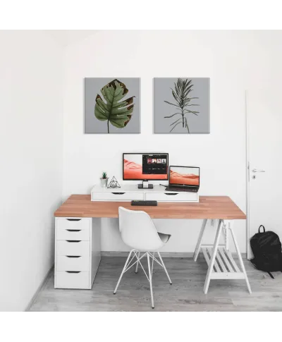 Liść monstery - obraz na płótnie