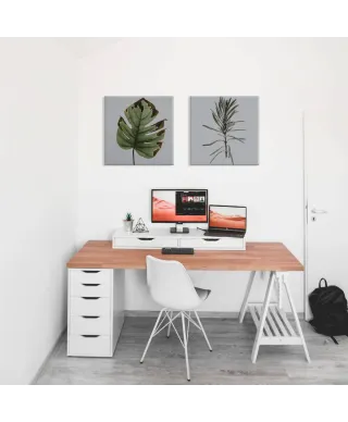 Liść monstery - obraz na płótnie