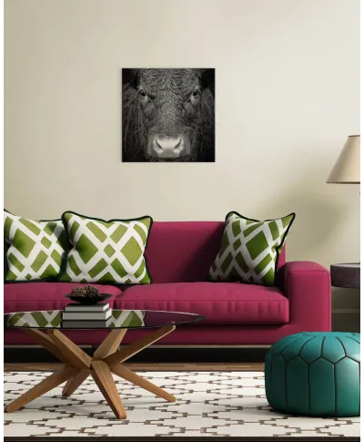 Krowa - obraz na płótnie