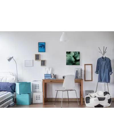 Liście Kalatea Okrągłolistna - obraz na płótnie