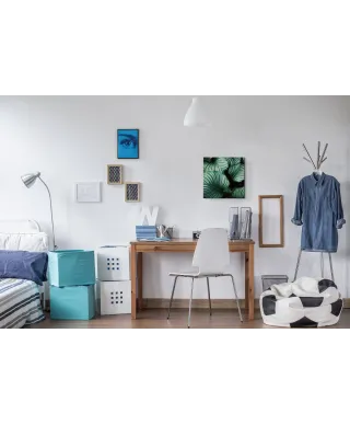 Liście Kalatea Okrągłolistna - obraz na płótnie