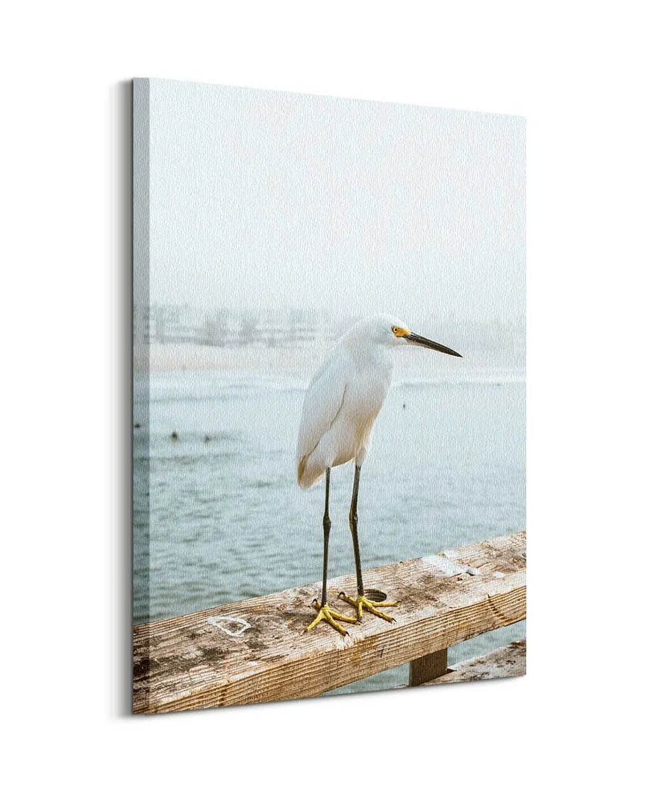 Czapla - obraz na płótnie